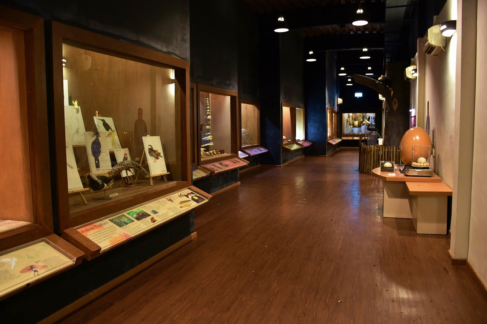 [CLOSED] Bird Discovery Centre