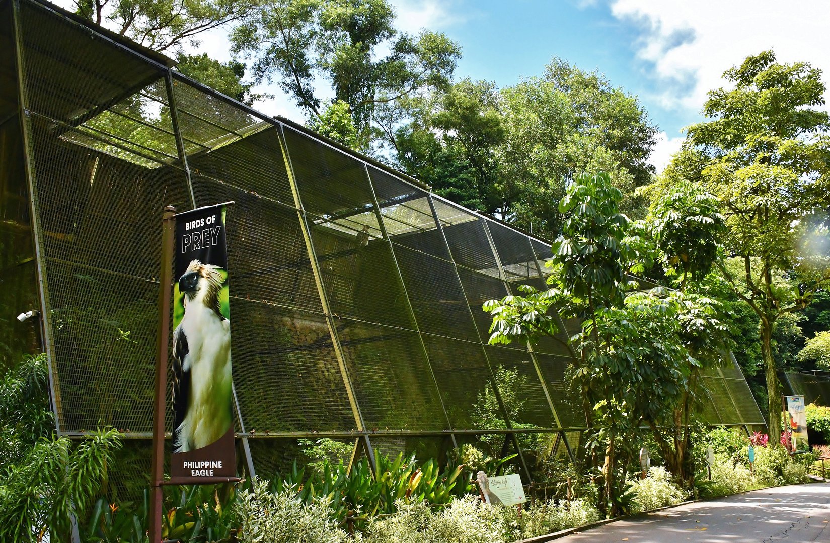 [CLOSED] Birds of Prey exhibit