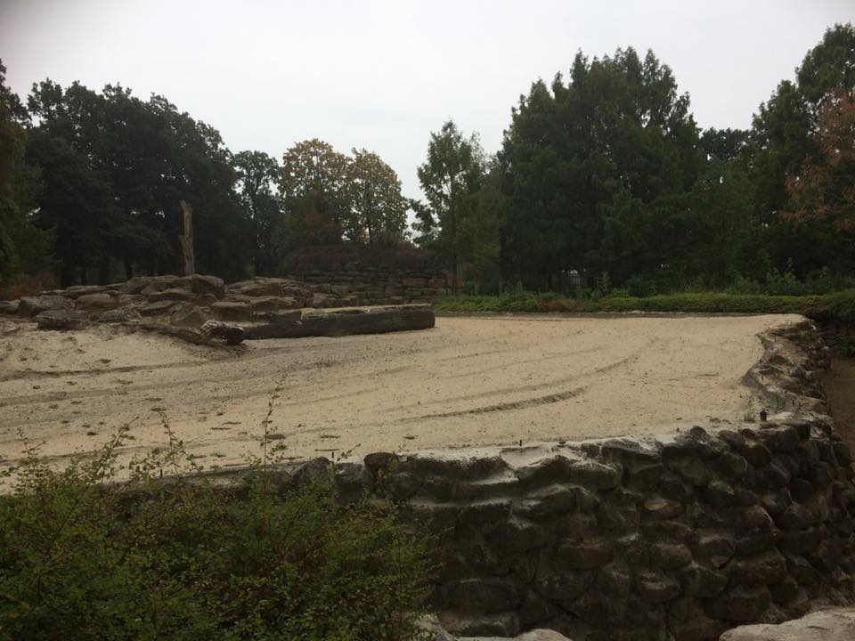 Closed Emmen Zoo in 2018 - Old Elephant Enclosure
