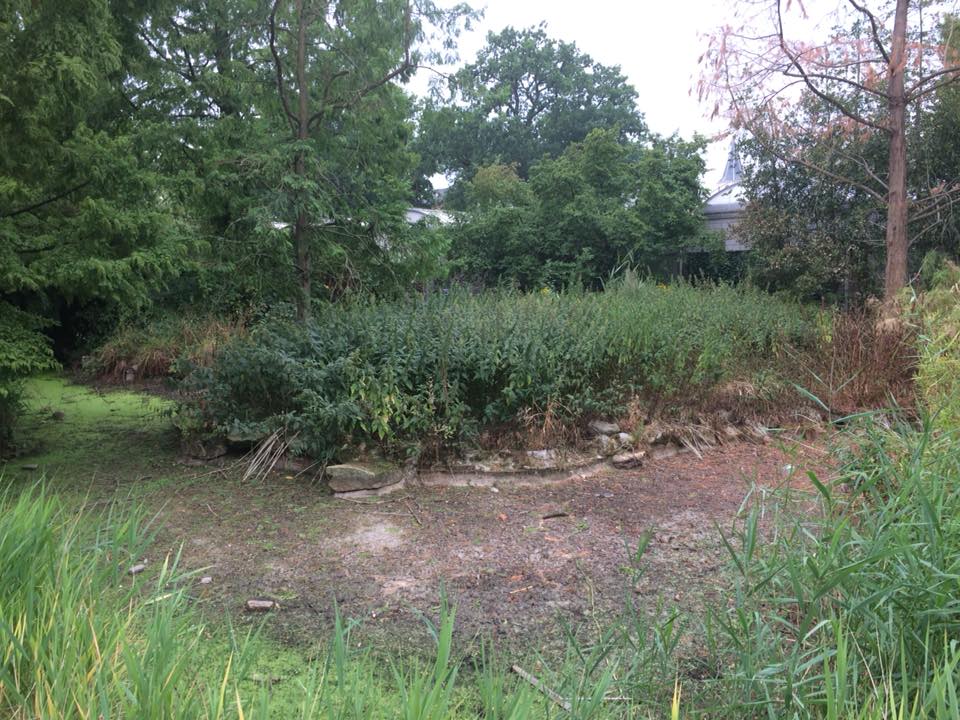 Closed Emmen Zoo in 2018 - Old Flamingo Enclosure