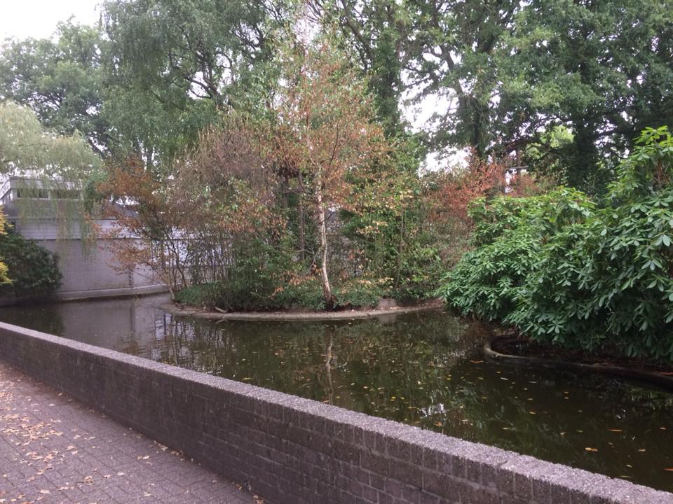 Closed Emmen Zoo in 2018 - Old Gibbon Island