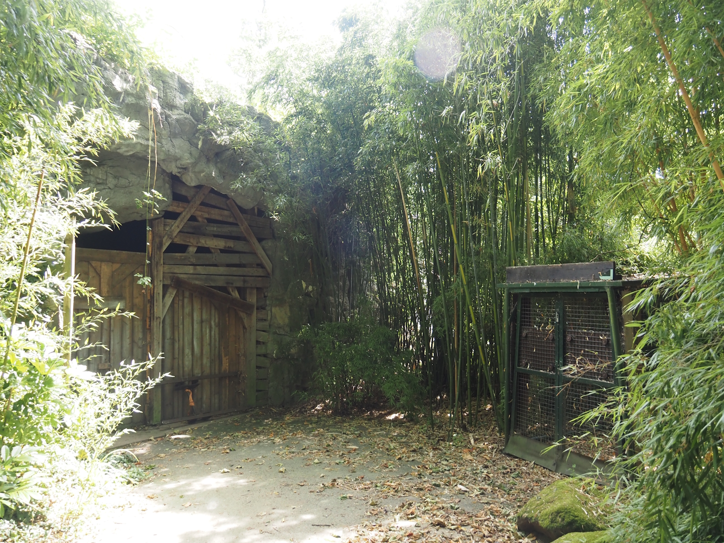 Closed former bat cave, 2024-06-30