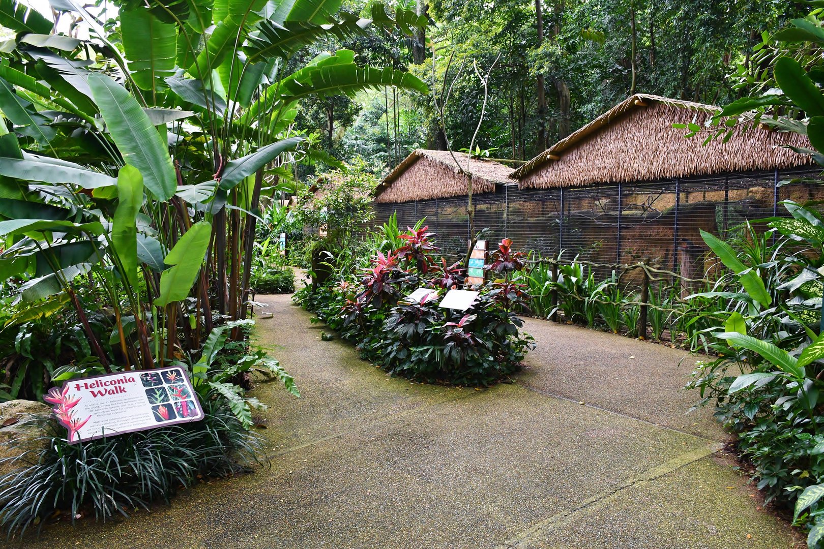 [CLOSED] Heliconia Walk