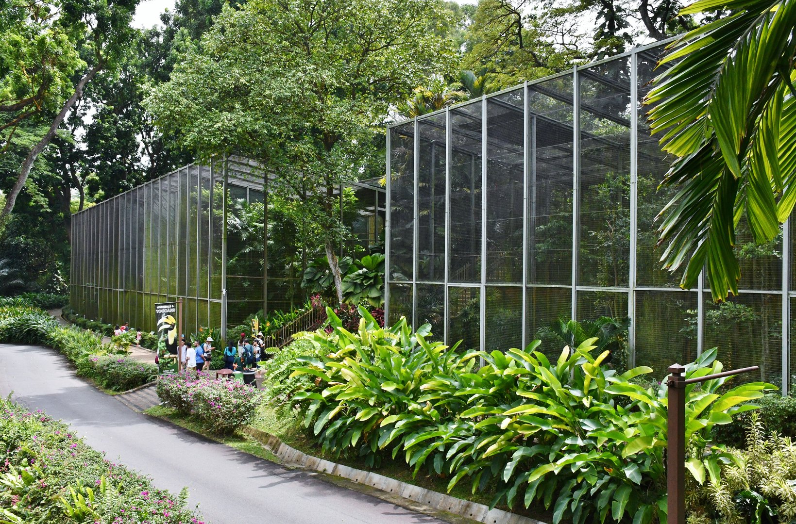 [CLOSED] Hornbills and Toucans exhibit