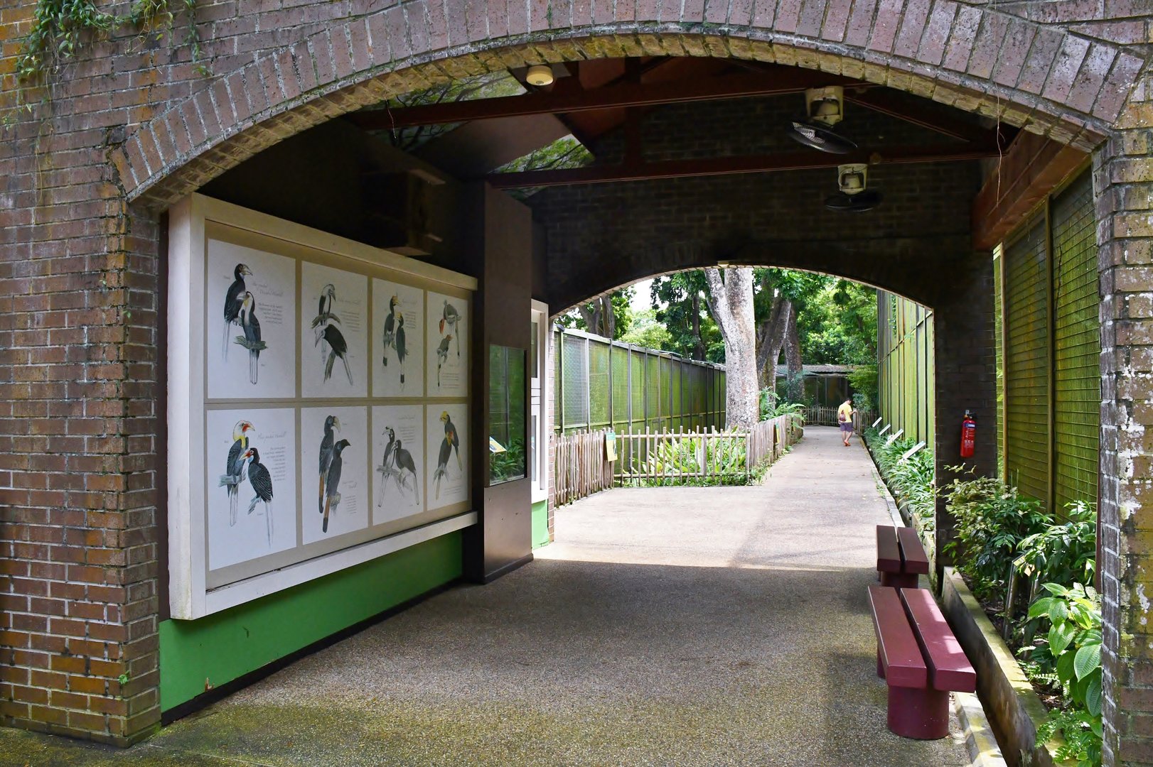 [CLOSED] Hornbills and Toucans exhibit
