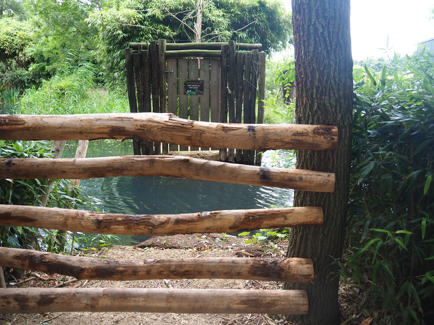 Closed-off and removed access to former lemur island, 2019-08-11