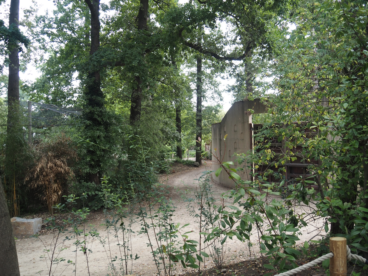 Closed off former walkway next to the gate into and wall around the Asian elephant exhibit, 2025-07-12