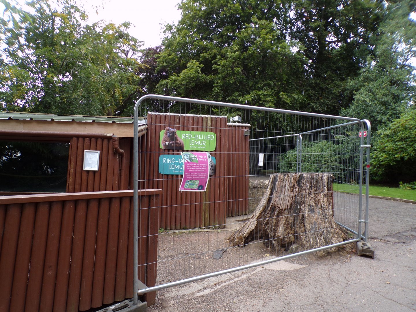 Closed off lemur indoor house 14.8.23