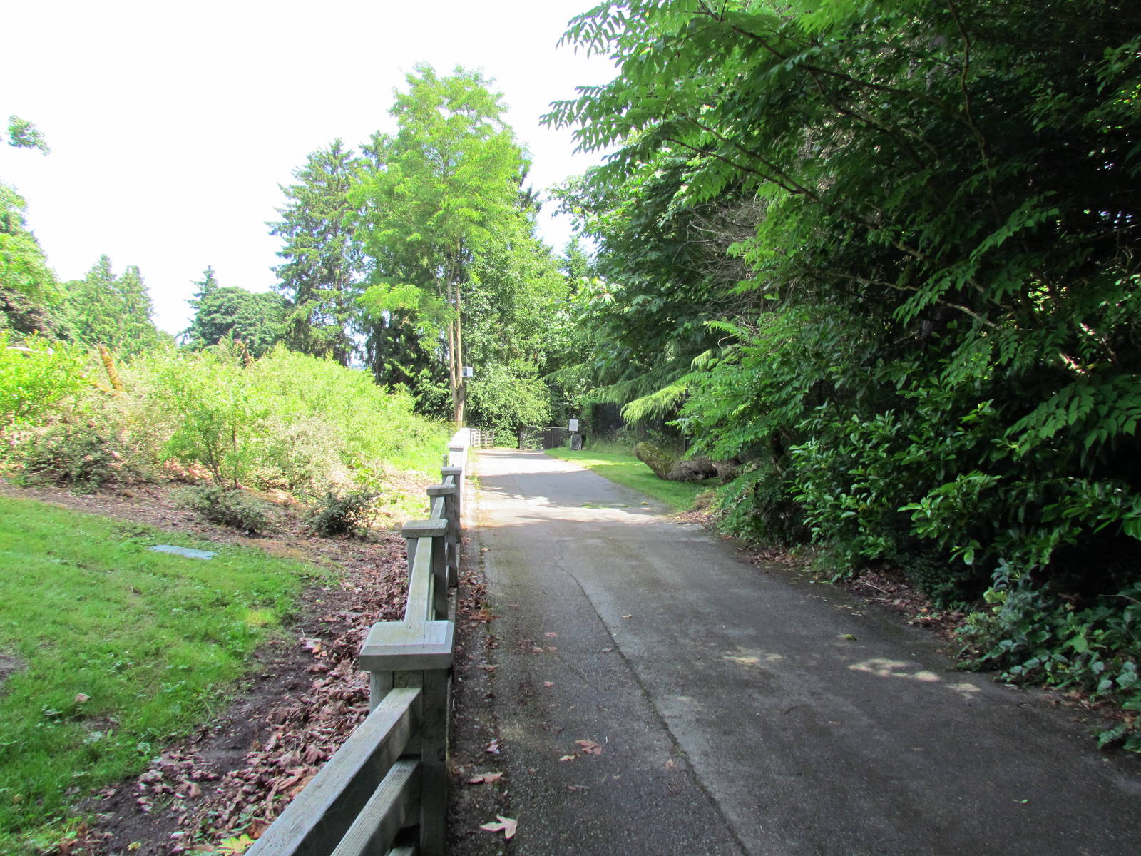 Closed Off Old Hoofstock Area