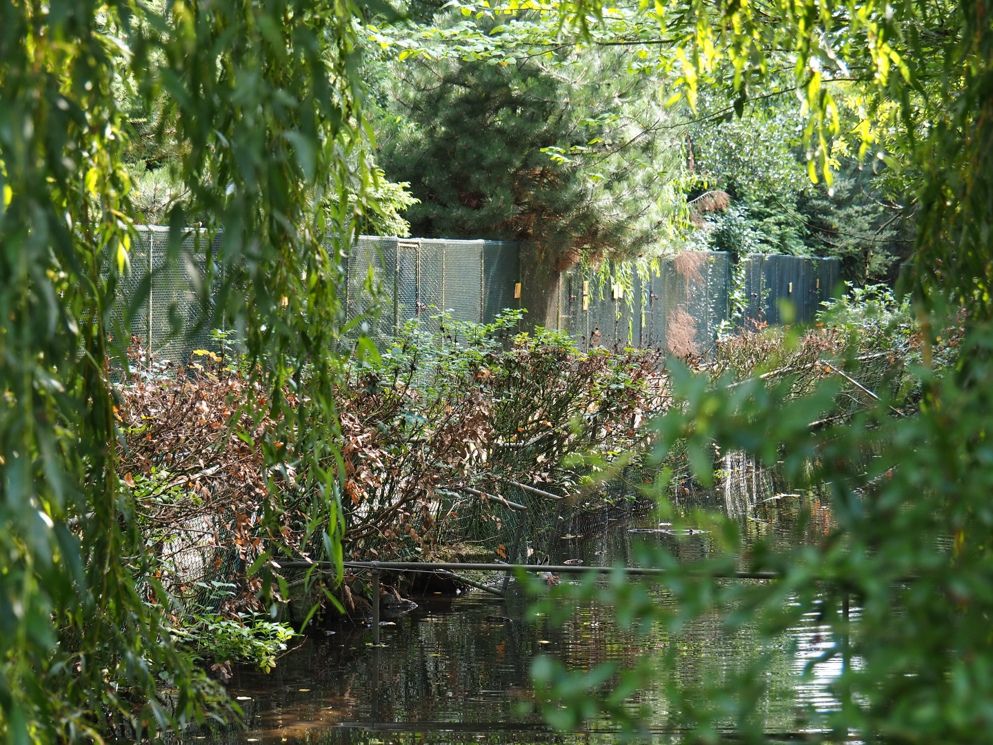 Closed-off old pheaantry (Sep 2nd, 2018)