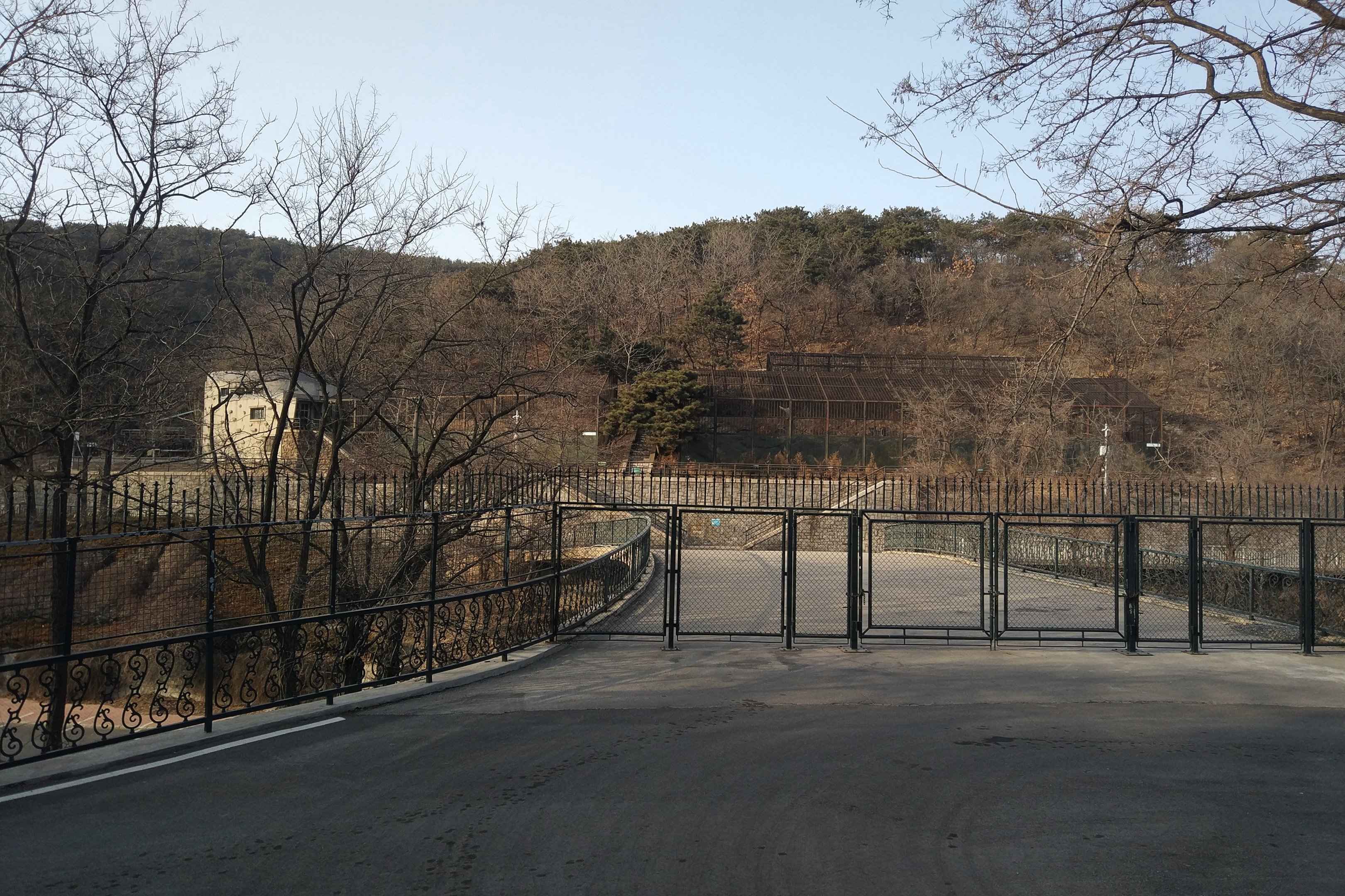 Closed Off Side Of Zoo