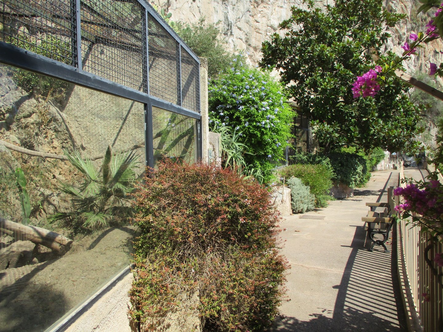 Closed part of the zoo