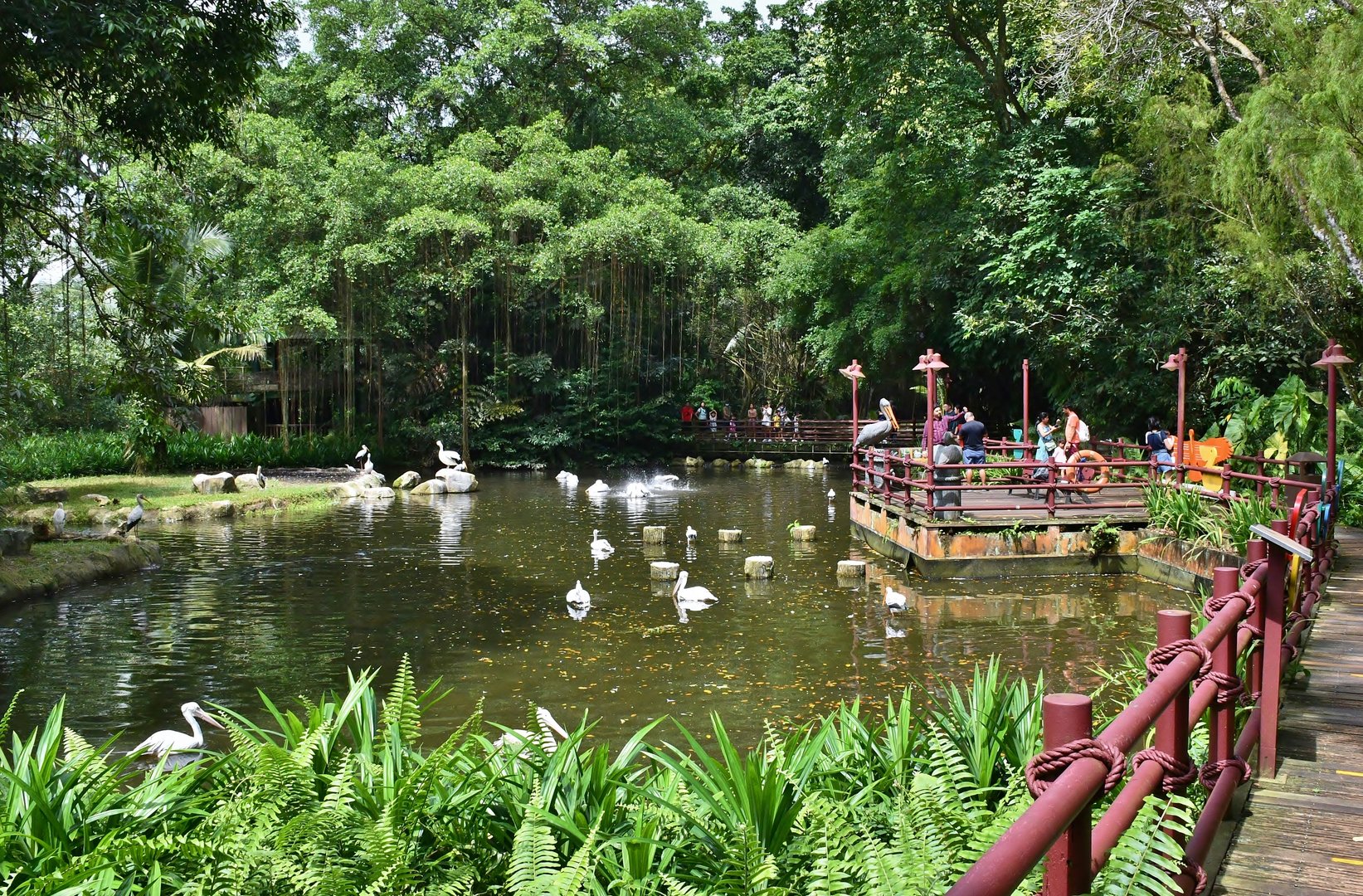 [CLOSED] Pelican Cove