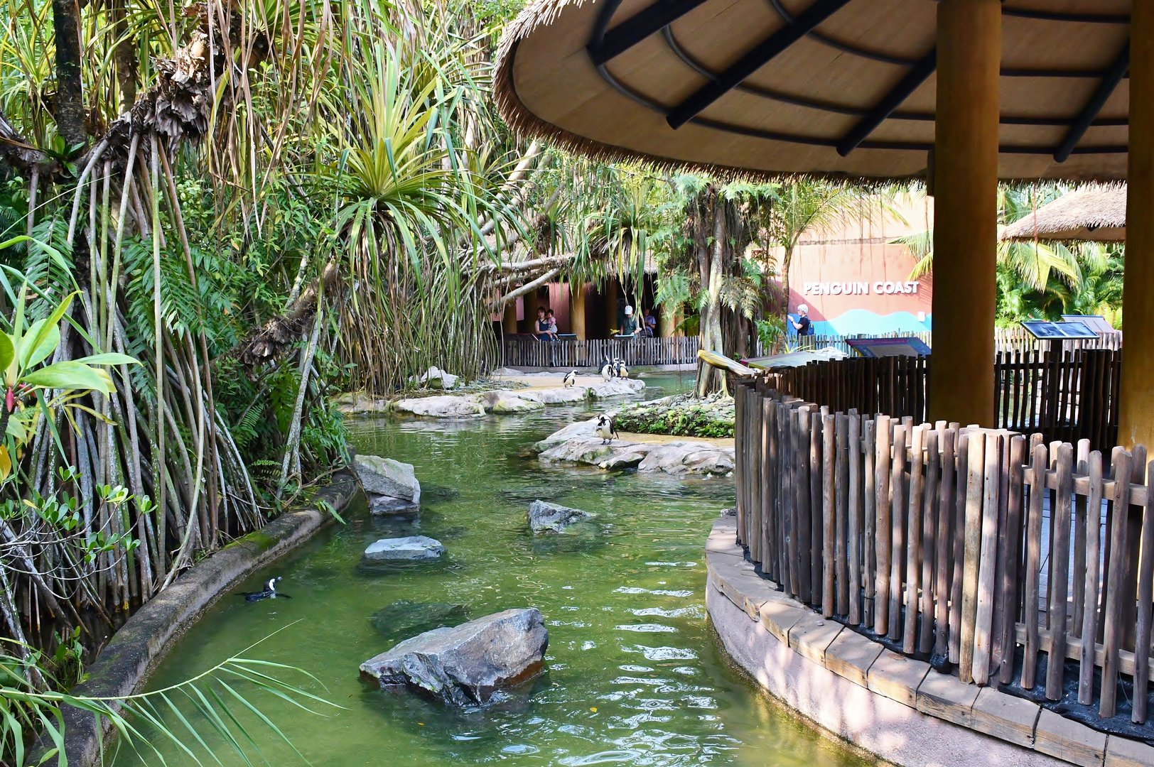 [CLOSED] Penguin Coast