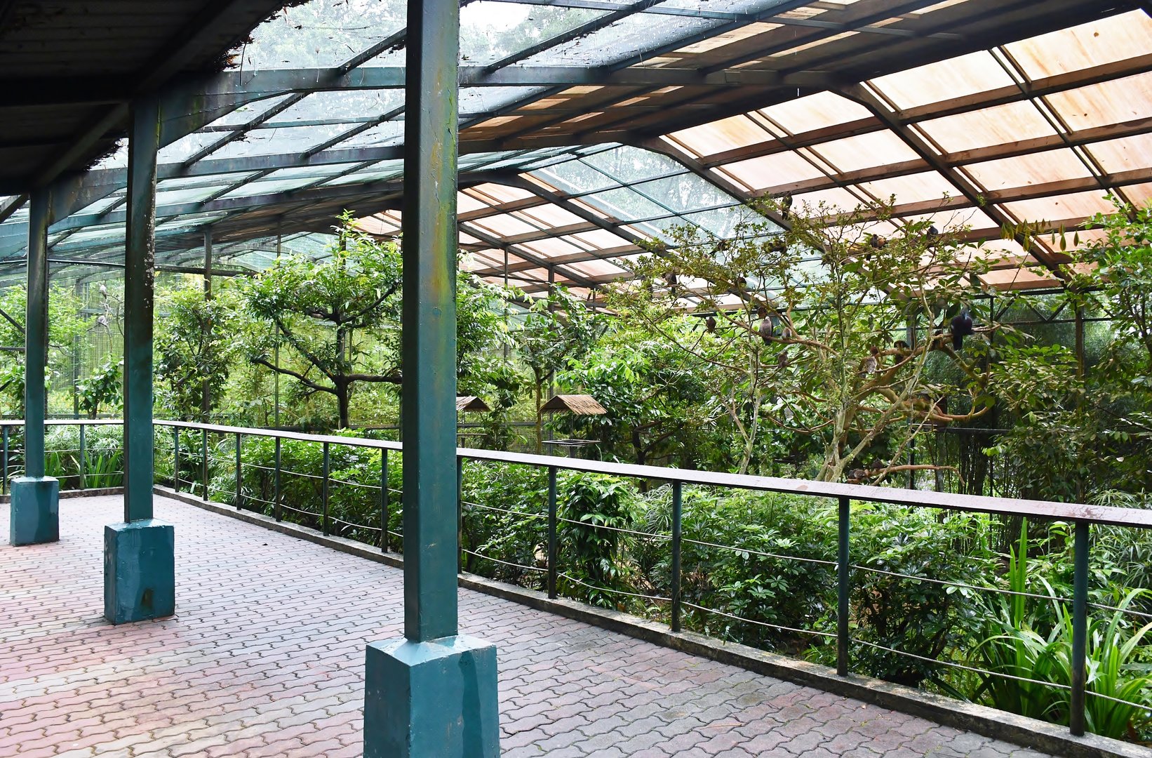 [CLOSED] Royal Ramble