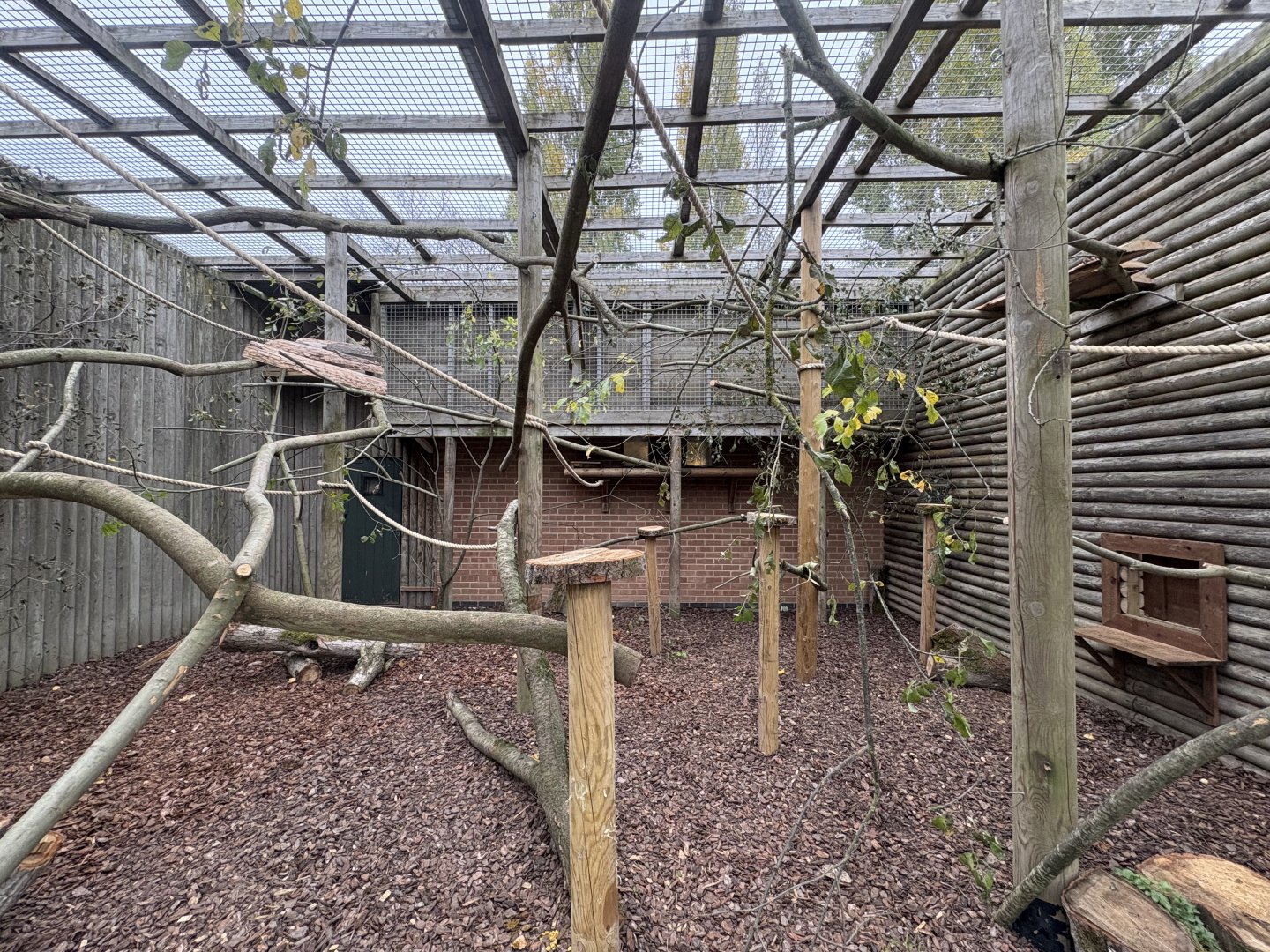 Closed Topped Red Ruffed Lemur Enclosure