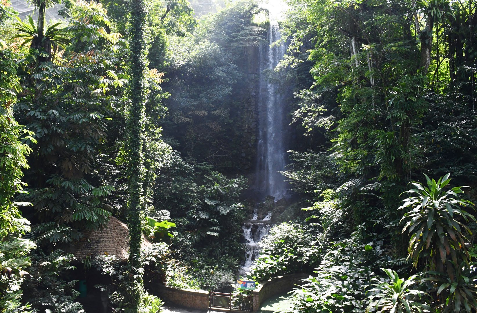 [CLOSED] Waterfall Aviary