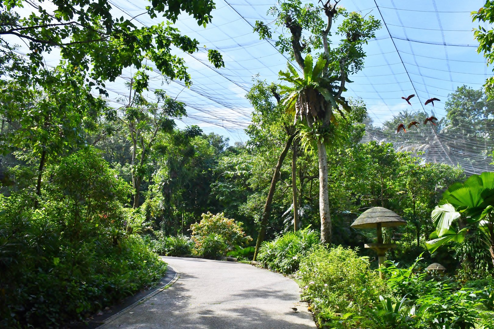 [CLOSED] Waterfall Aviary