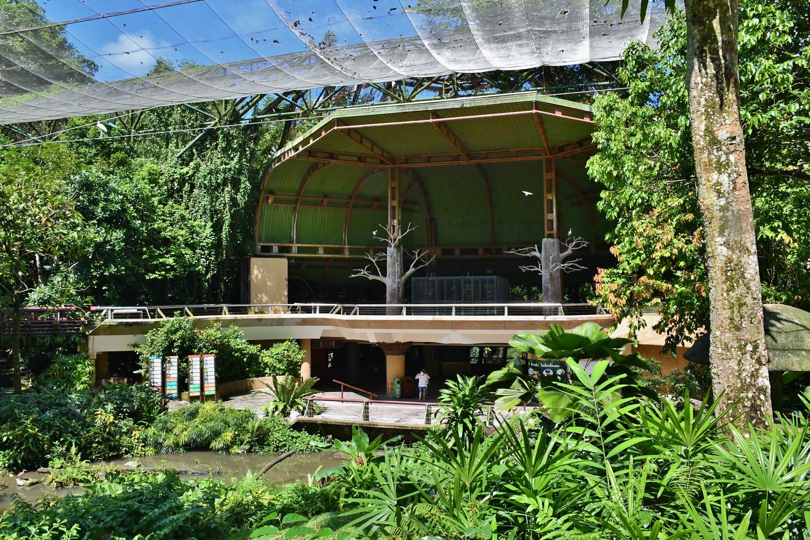 [CLOSED] Waterfall Aviary