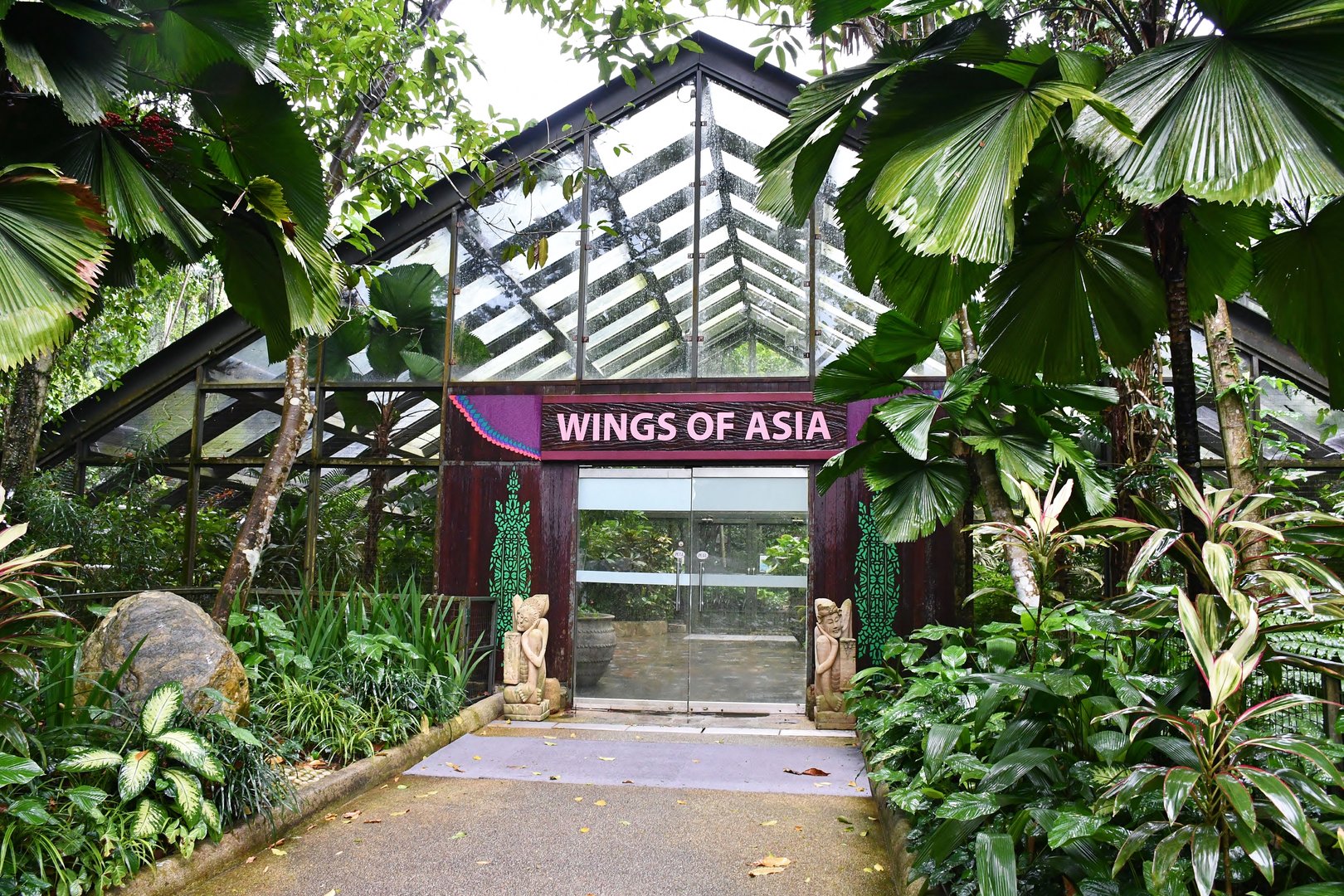 [CLOSED] Wings of Asia