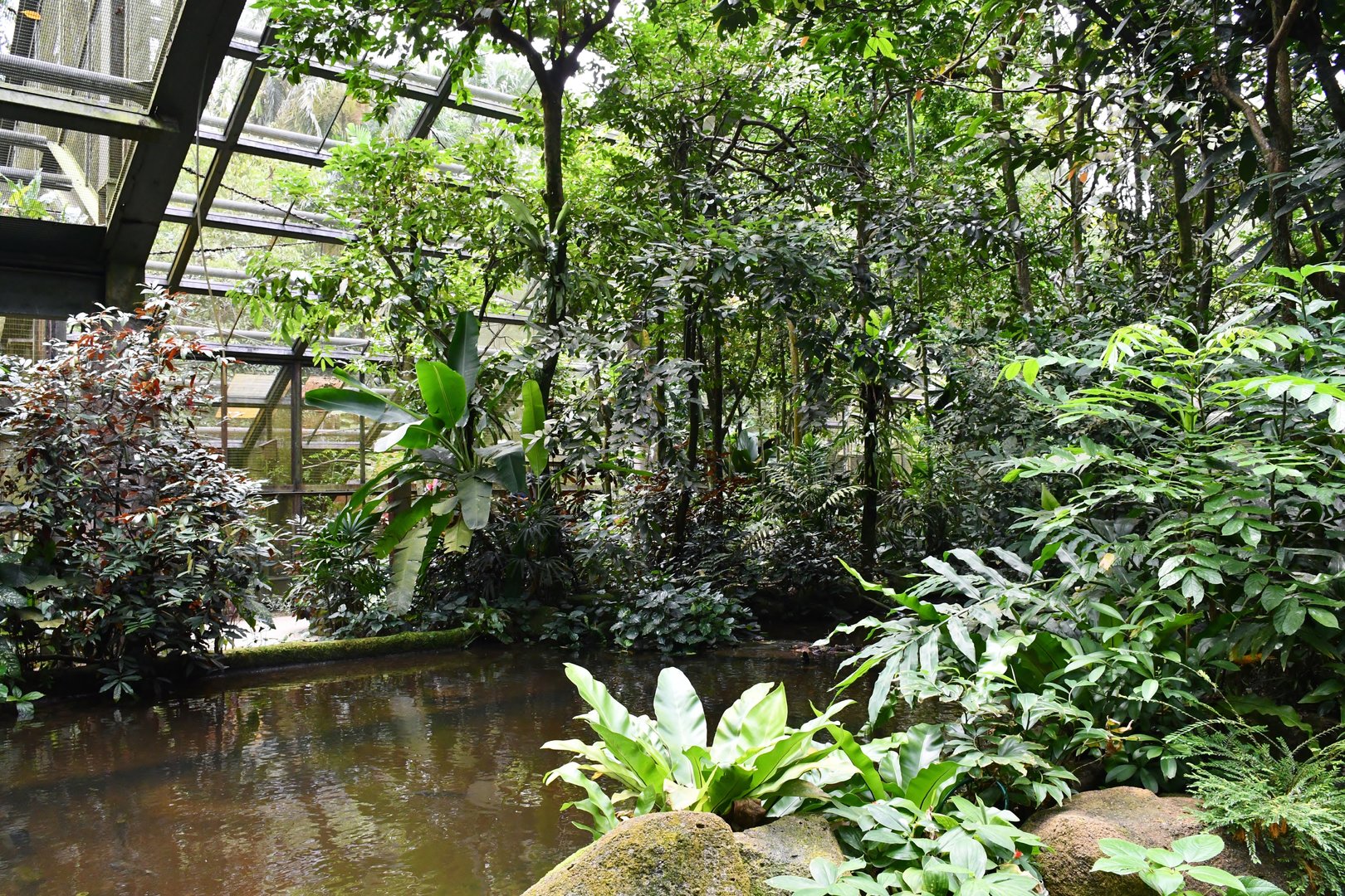 [CLOSED] Wings of Asia