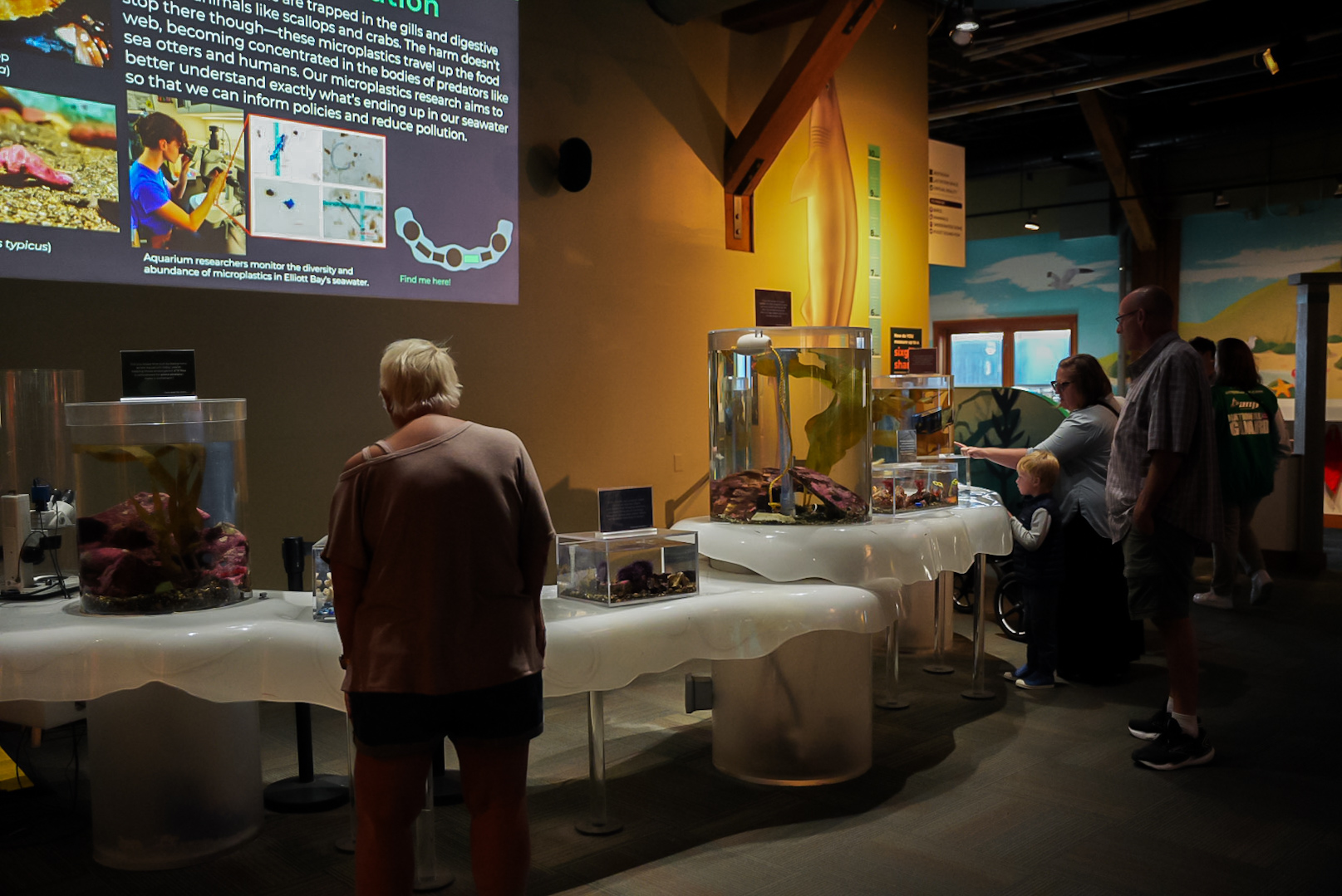 "Closer Look Table" (Pier 59)