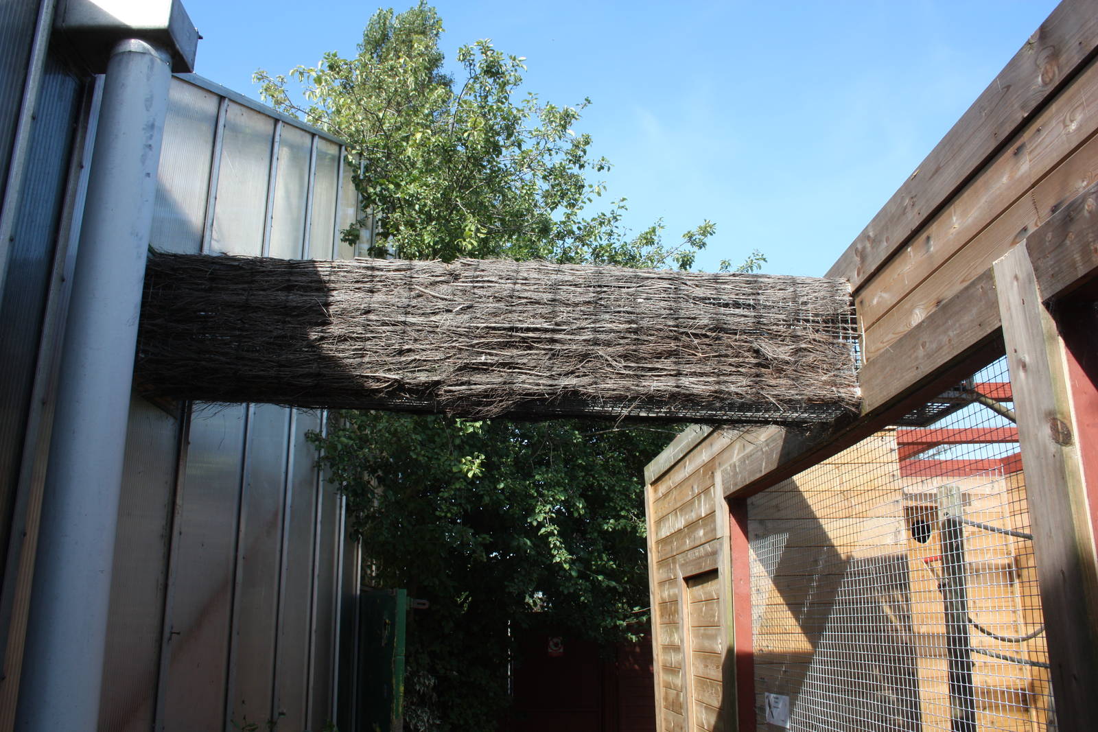 Closer view of access between indoor and outdoor toucan aviaries, 23rd Sept