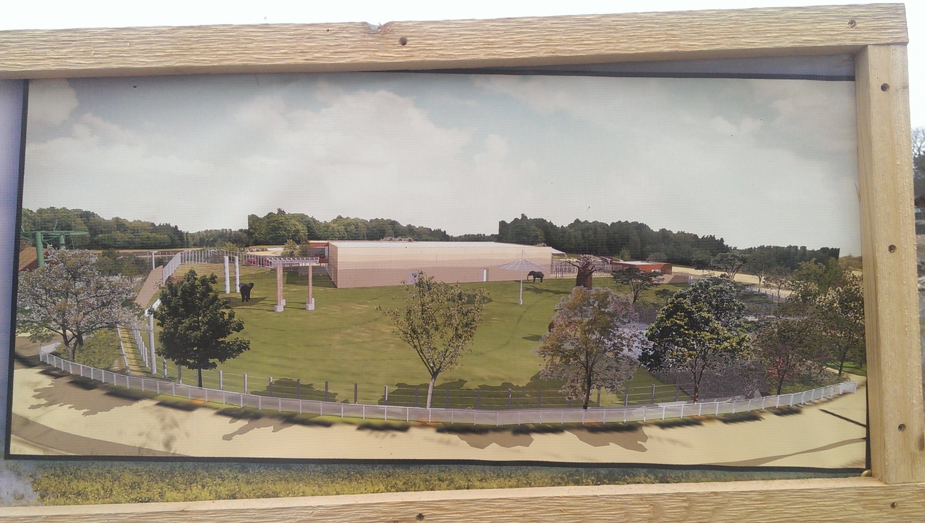 Closer view of Elephant exhibit design