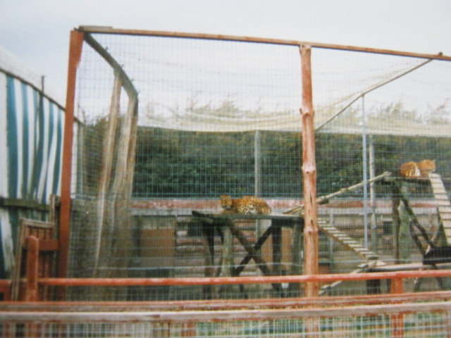 Closer view of Leopard enclosure 1998.