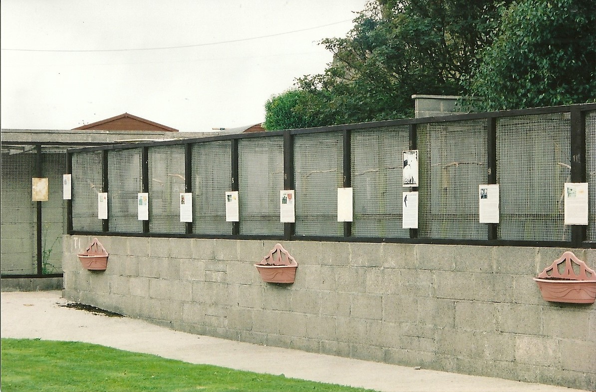 Closer view of parakeet aviaries, 5th September 2006