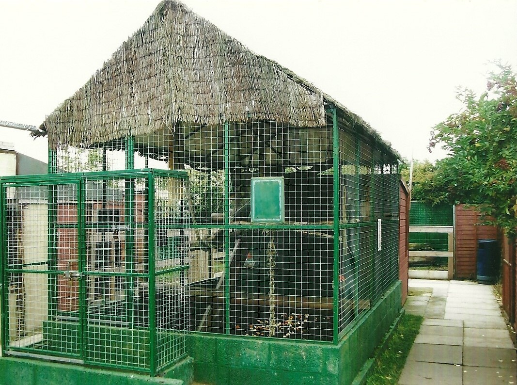 Closer view of Ring-tailed Lemur exhibit, 13th September 2013