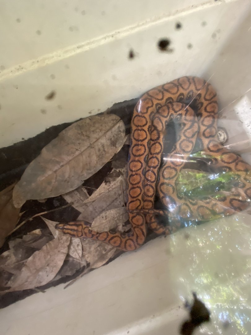 Closer view of the dreaded cooler