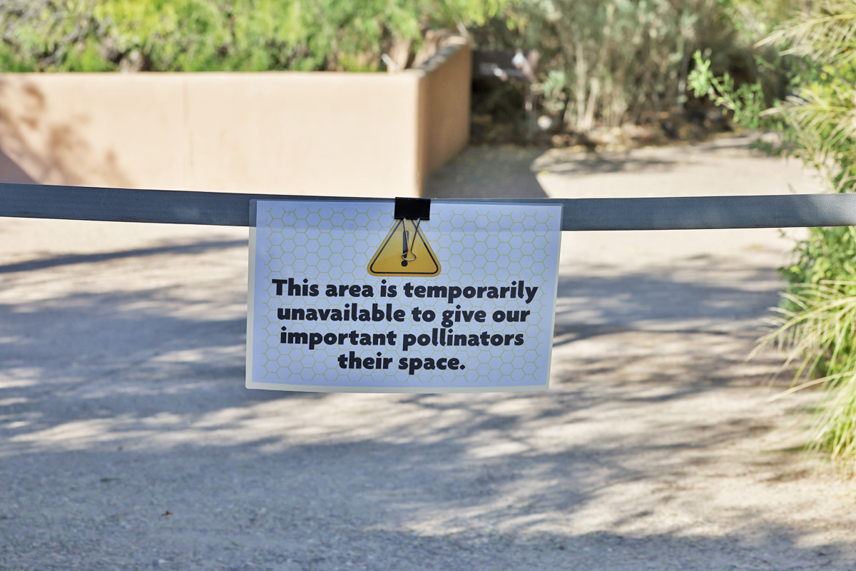 Closure at otter beaver coati