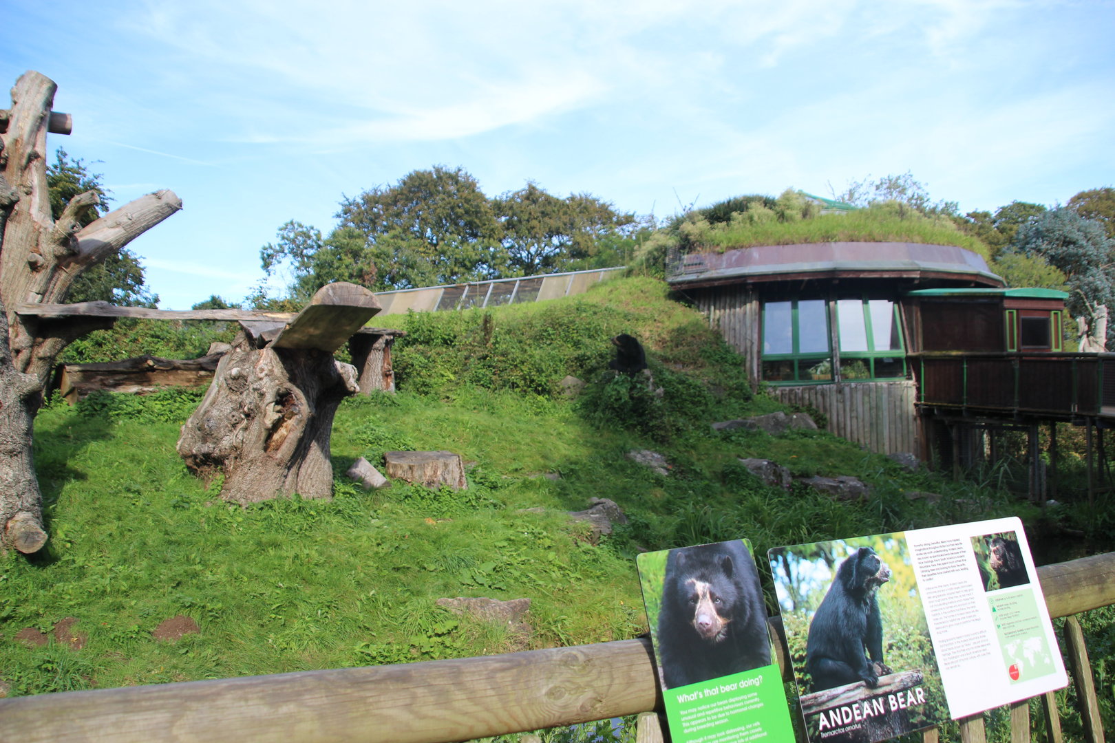 Cloud Forest - Andean Bear Enclosure
