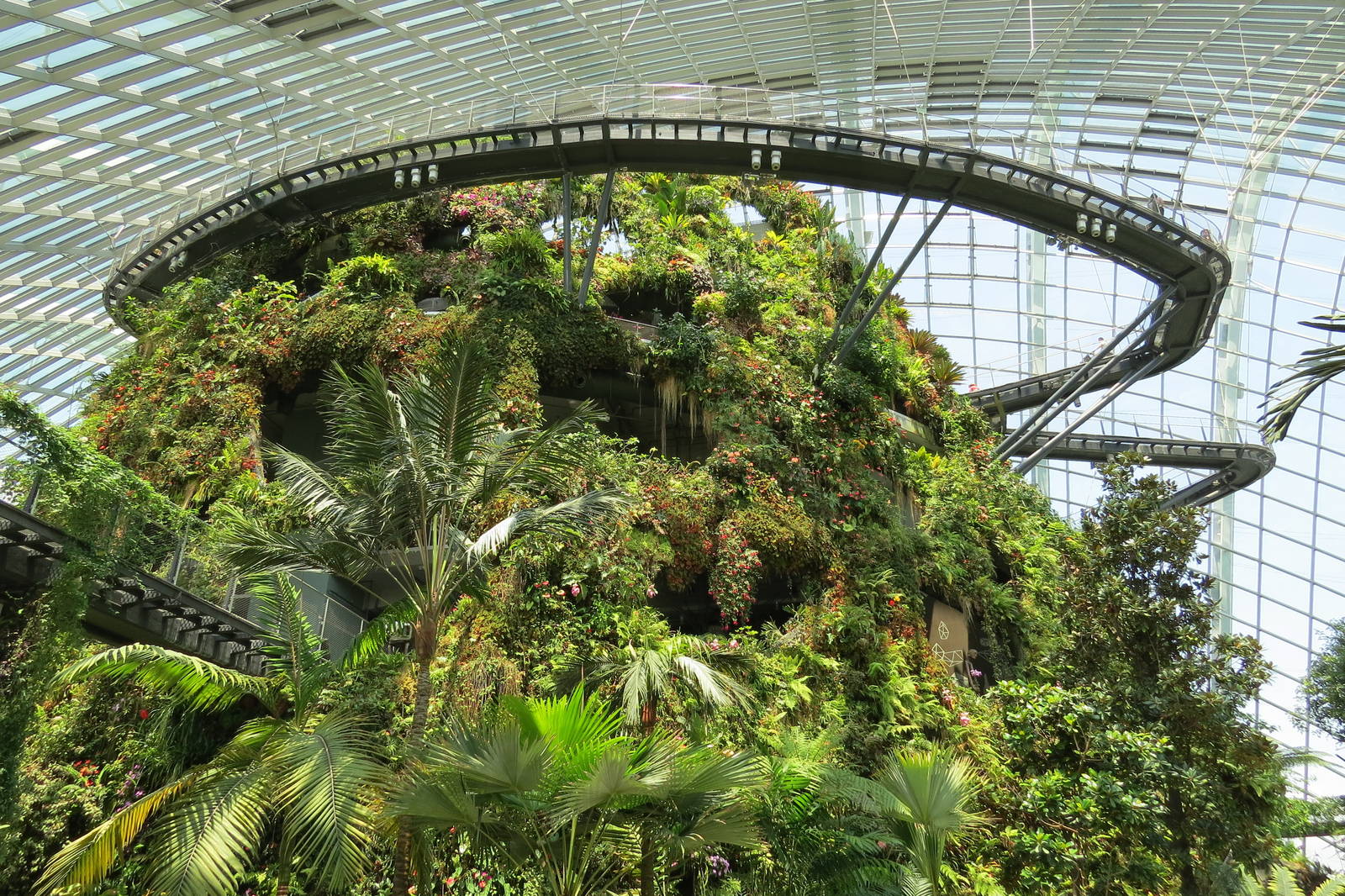 Cloud Forest at Gardens by the Bay