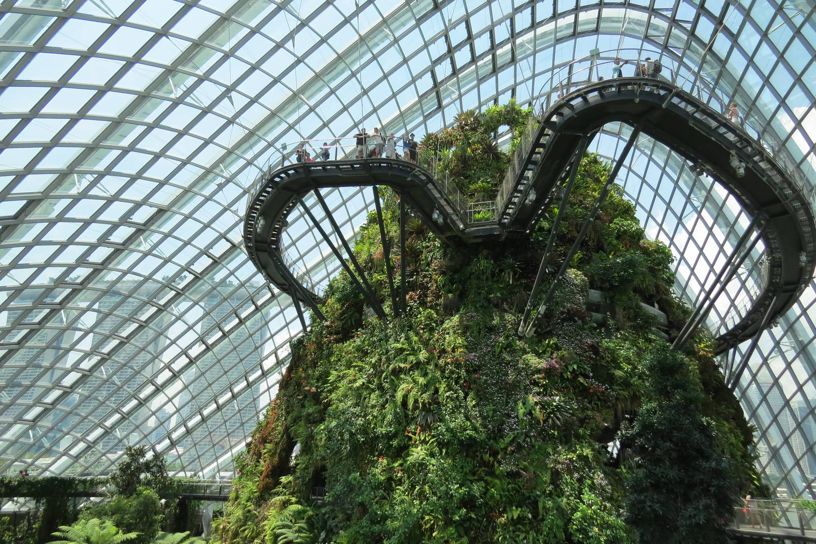 Cloud Forest at Gardens by the Bay