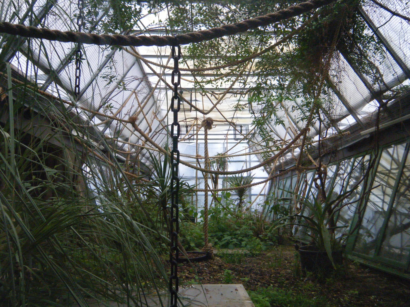 Cloud Forest Bat Tunnel