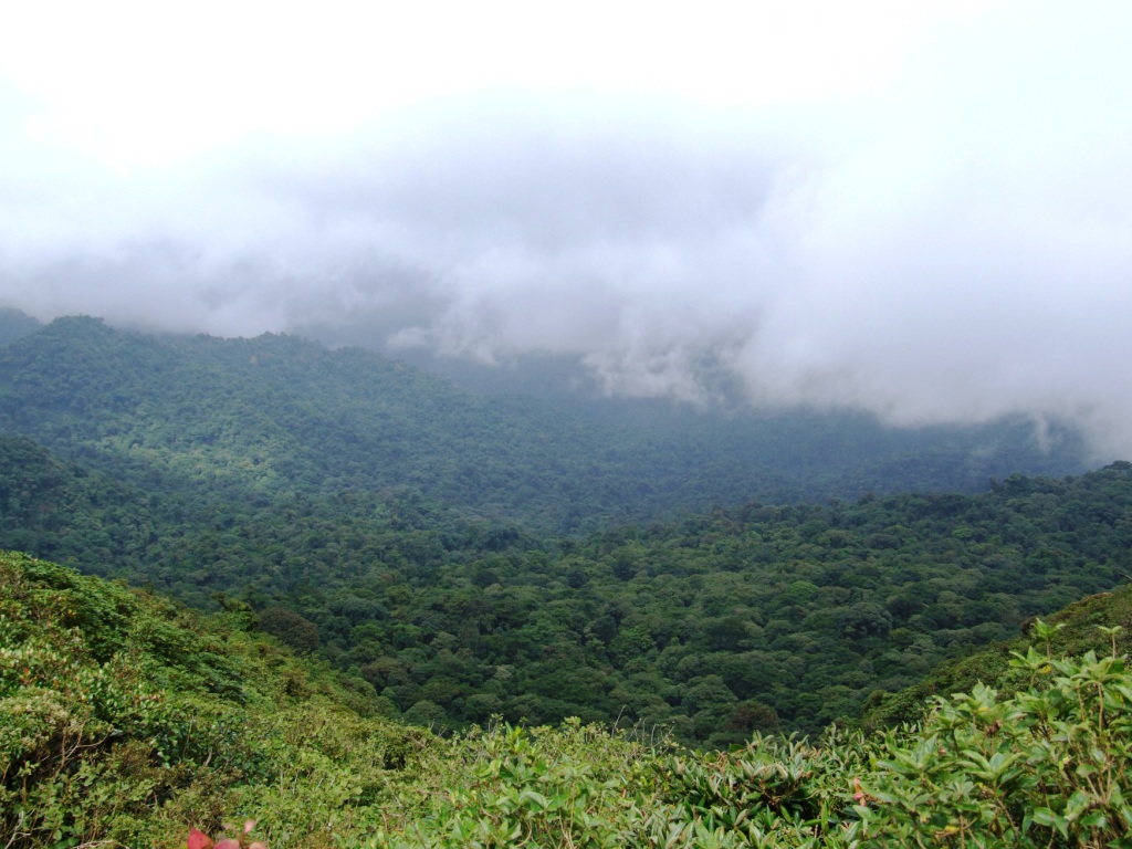 Cloud Forest, Monteverde, 20/04/14
