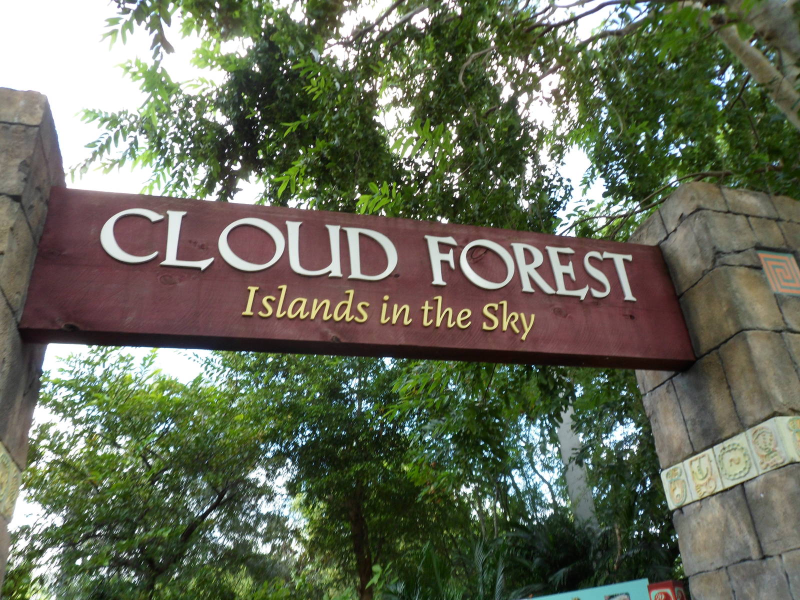 Cloud Forest Sign