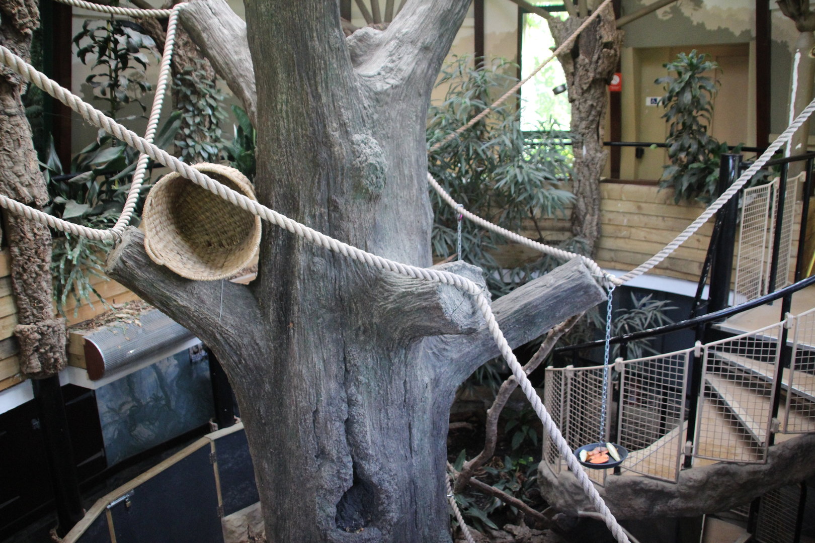 Cloud Forest - Sloth Enclosure