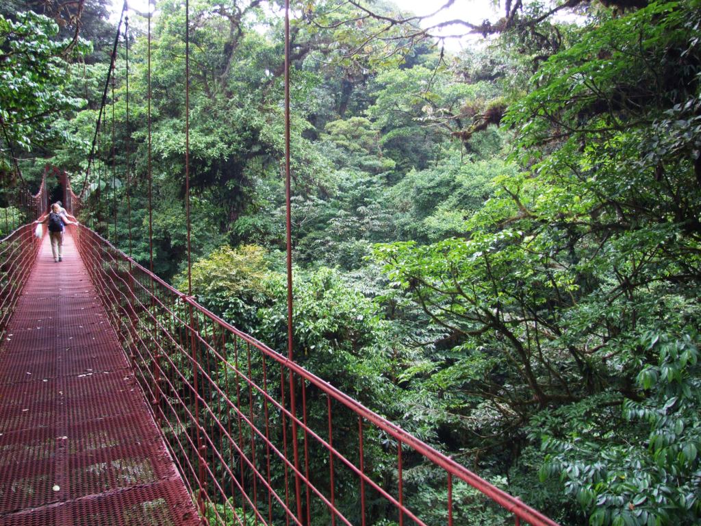 Cloud Forest Suspension Bridge, Monteverde, 20/04/14