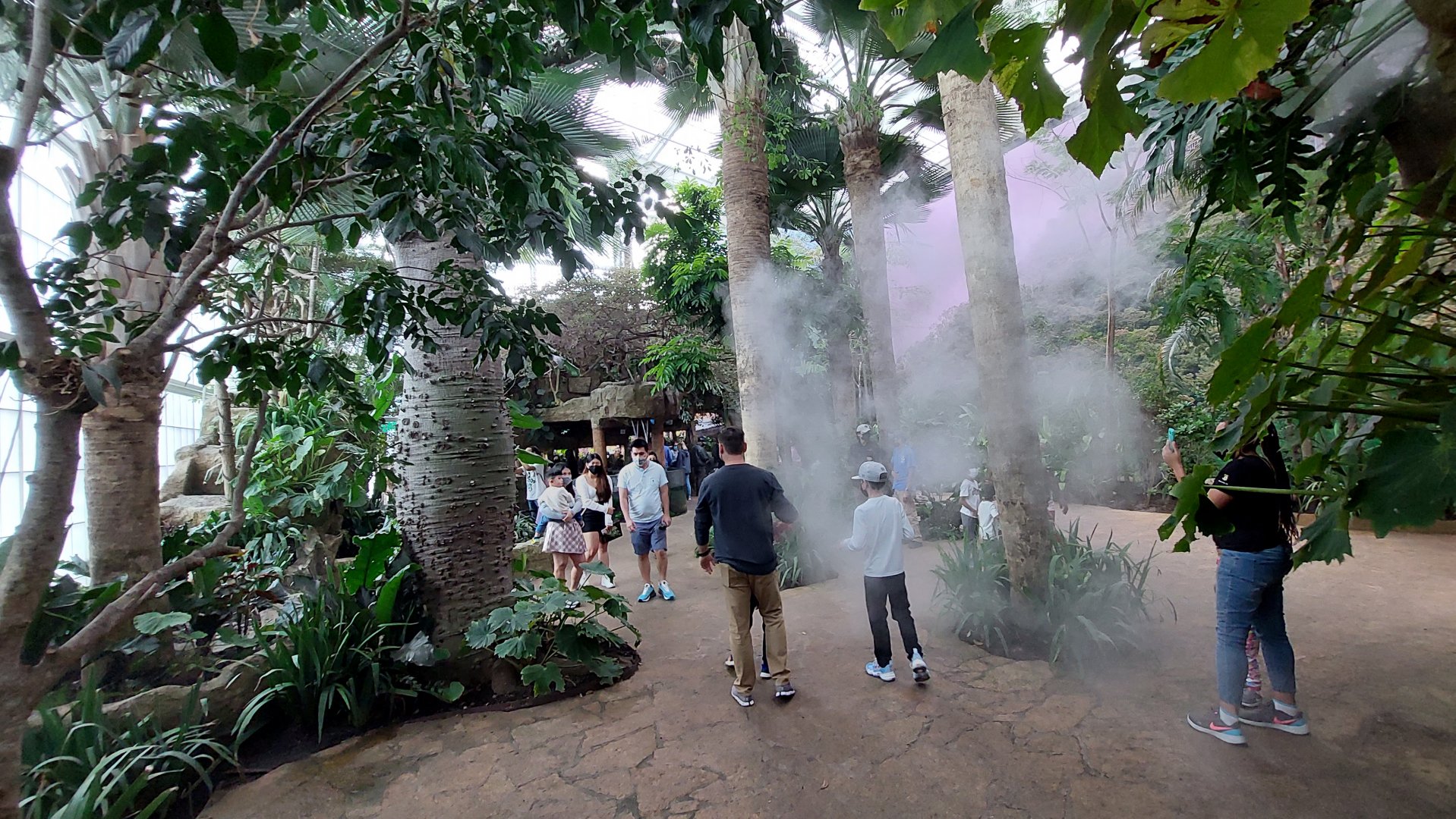 Cloud Forest Trek Misty Overview