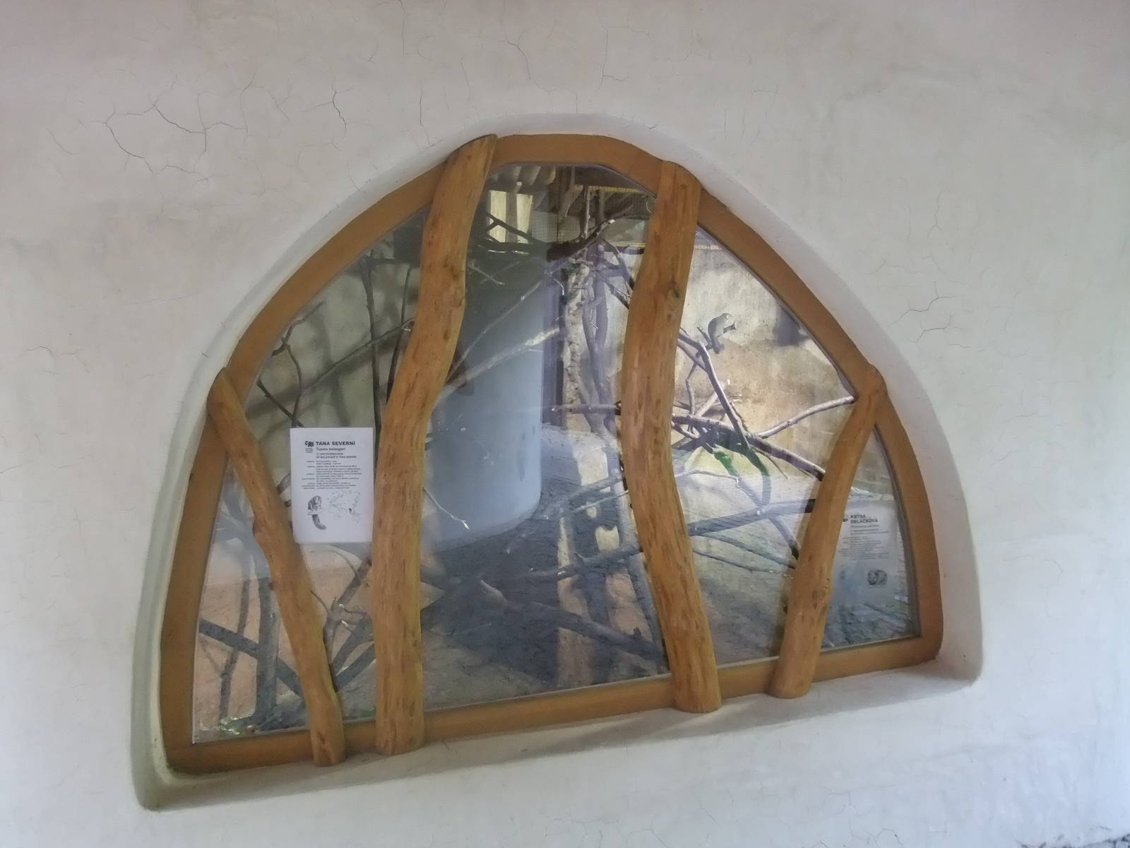 Cloud Rat and Tree Shrew exhibit at Jihlava, 30/05/10