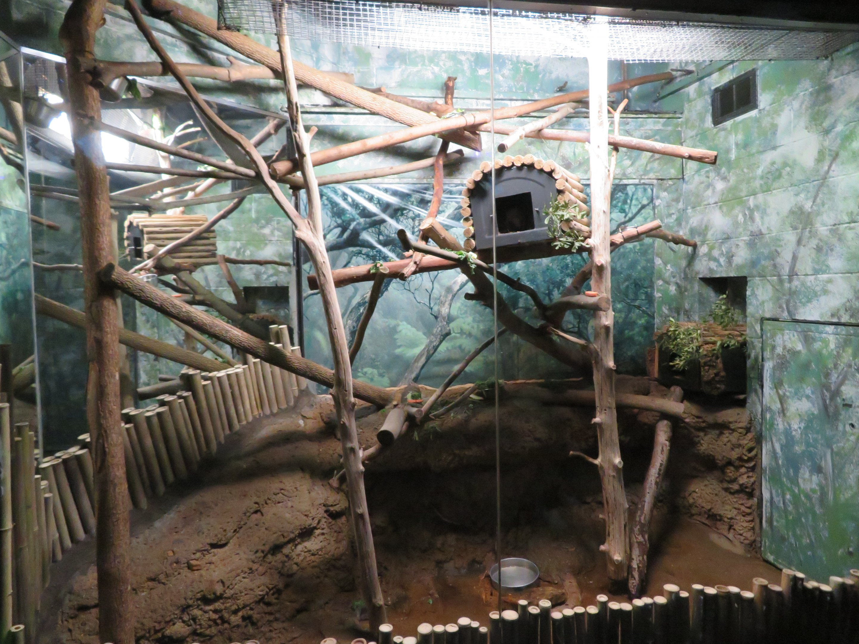 Cloud Rat Exhibit