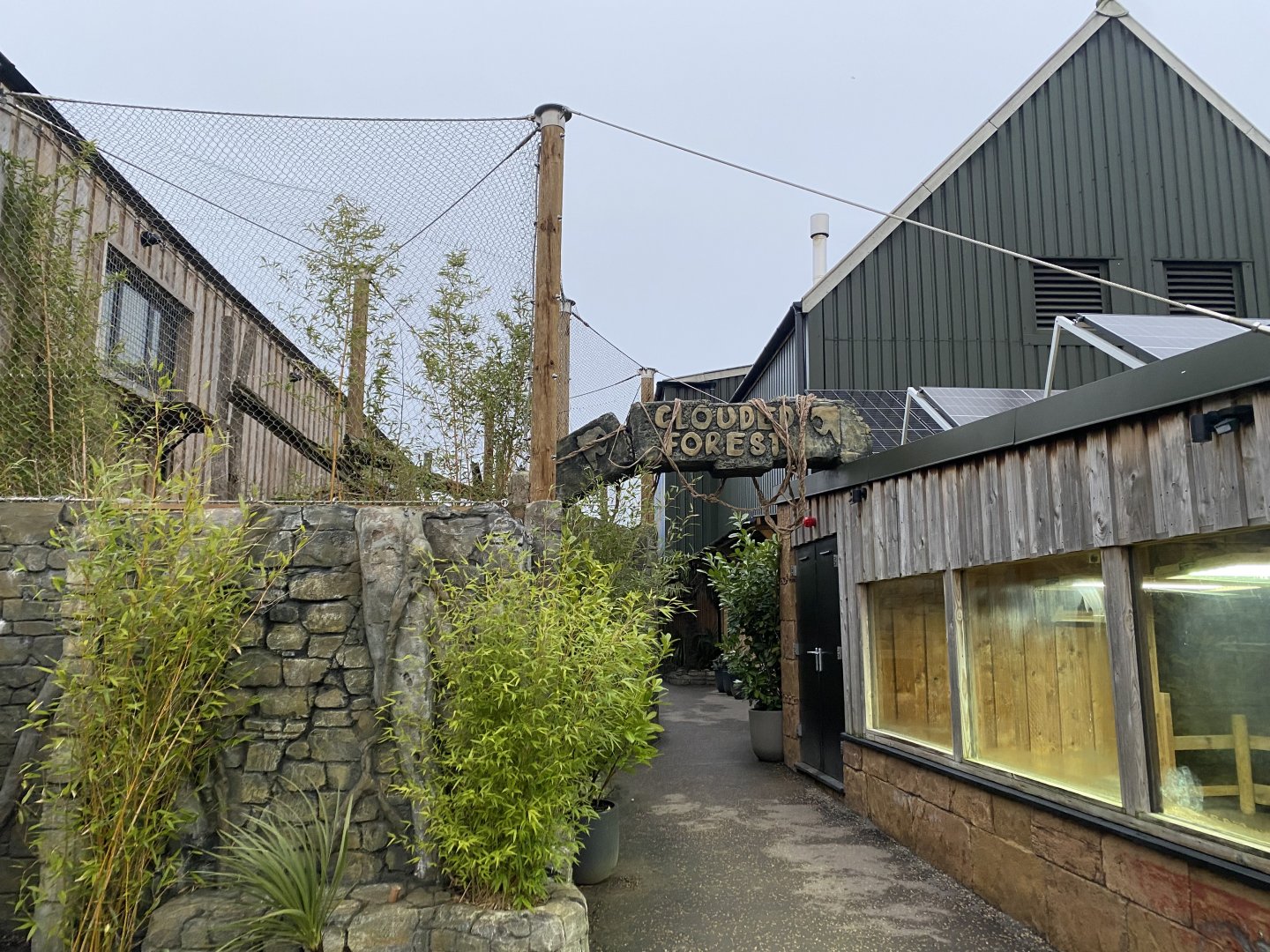 Clouded Forest 040124