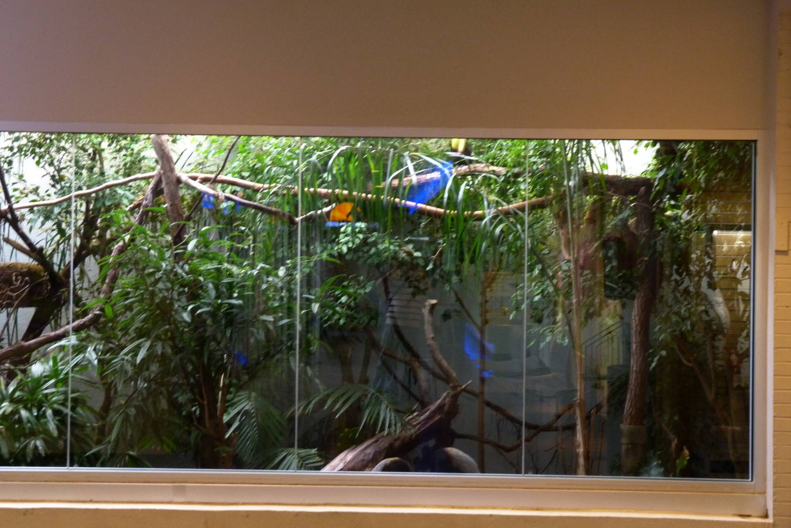 Clouded Forest Exhibit 10-12-12