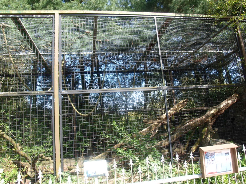 Clouded leopard cage 1 (April 19th, 2015)