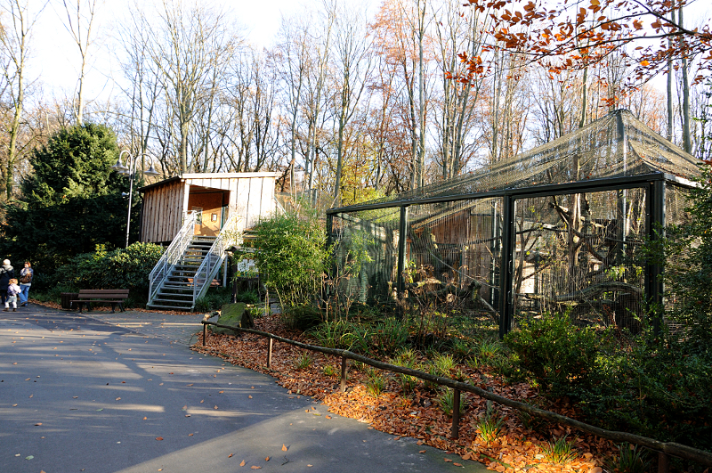 Clouded leopard complex at Dortmund