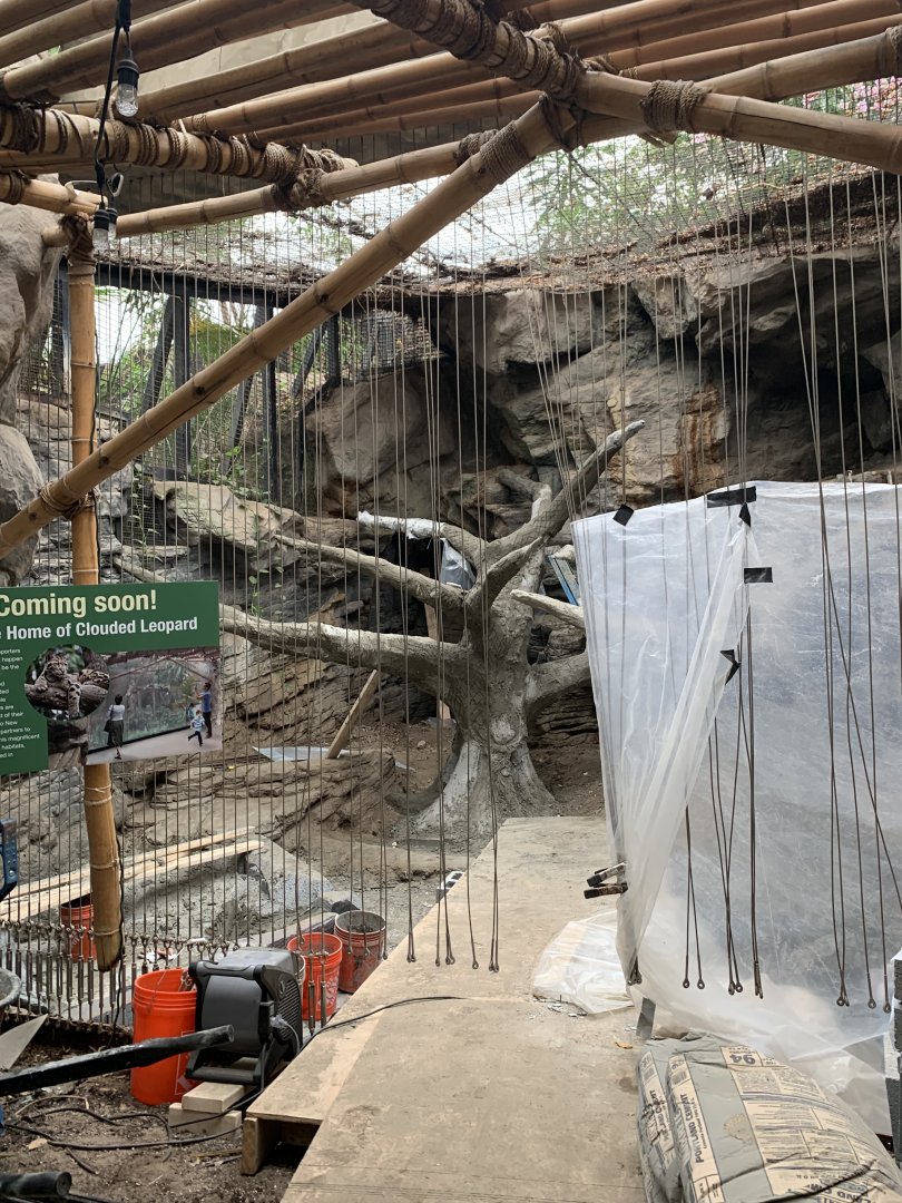 Clouded Leopard Construction