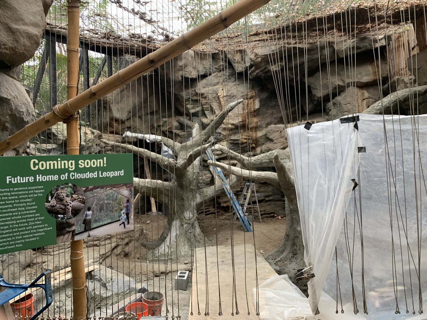 Clouded Leopard Construction